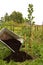 Garden trolley with humus, care for young Apple seedlings