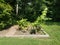 Garden with tropical plants with large green leaves