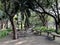 Garden with tropical vegetation with cement seats and tables