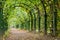 Garden tunnel