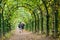 Garden tunnel