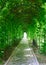 A garden tunnel