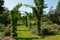 Garden tunnel archway in a classical garden