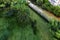 Garden of an urbanization with grass, hedges, palm trees and children\\\'s play area