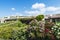 Garden in an urbanization of houses, Sardinia