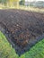 Garden vegetable bed with fresh compost.
