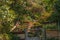 Garden on a very steep slope in New Zealand