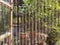 The garden view through mosquito screen wire door