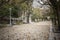 Garden view promenade, autumn day in park,parque alameda.Santiago de Compostela,Spain.