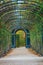 Garden walkway forming a green tunnel of acacias in Vienna
