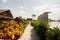 Garden walkway  in the pool