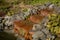 Garden water cascades made of red stones as an idyllic harmony background