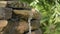 Garden waterfall of stones. Water flows through the stone. The morning sun shines on the waterfall.