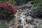 Garden with waterfalls