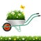 Garden Wheelbarrow And Grass With Flowers