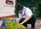 Garden Woman is Making Autumn Garden Work