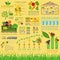 Garden work infographic elements. Working tools set.