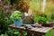 Garden work still life in summer. Camomile flowers, gloves and tools on wooden table outdoor in sunny day