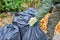 Garden worker gloved hands and black plastic bags with collected leaves