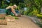 Garden Worker Installing Fresh Natural Grass Turfs From Rolls