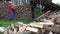 Garden worker man guy stack chopped firewood near woodshed. 4K