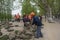 The garden workers planted grass on the qinhuai river.