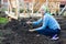 Garden Works. Young Woman Working in the Garden. Healthy Lifestyle