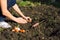 Garden Works. Young Woman Working in the Garden. Healthy Lifestyle