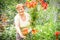 Gardener active senior elderly woman with bouquet (bunch) of freshly plucked flowers.