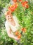 Gardener active senior elderly woman with bouquet (bunch) of freshly plucked flowers.