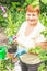 Gardener active senior elderly woman is planting flowers in pot