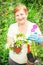 Gardener active senior elderly woman is planting strawberries in