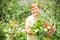 Gardener active senior woman is holding basket of freshly picke