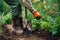 gardener caring for plants in a greenhouse generative ai