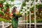 Gardener checking on the plants