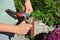 Gardener cleaning and sharpening garden tool in autumn
