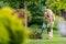 Gardener with Cordless Leaf Blower Cleaning Backyard Garden