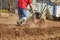 Gardener cultivate ground soil with tiller tractor or rototiller, cutivator