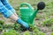 Gardener cultivates soil with hand tools, spring gardening, watering and strawberry cultivation
