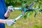 gardener cuts a branch to a tree with large scissors