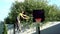 A gardener cuts excess branches over a fence in a garden with an electric trimmer.