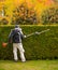 The gardener cuts the hedge, the topiary garden.