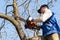 Gardener cuts out fruit tree with chainsaw. Sawdust flies as a man cuts a tree