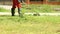 Gardener cutting grass using lawnmower outdoors