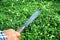 Gardener cutting Hokkien tea fence with long knife