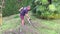 Gardener cutting tree with chainsaw.