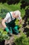 Gardener digging in the ground