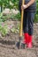 Gardener is digging soil on a bed. Female farmer digs in a garden