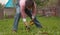 Gardener digging soil on a lawn in the yard