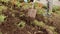 Gardener digging soil with shovel on flowerbed in spring park. People planting flowers on green lawn in summer garden